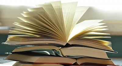 <div class="paragraphs"><p>The works of L Basavaraju, AN Murthy Rao, P Lankesh, and Sara Aboobacker had been dropped from the syllabus. </p></div>