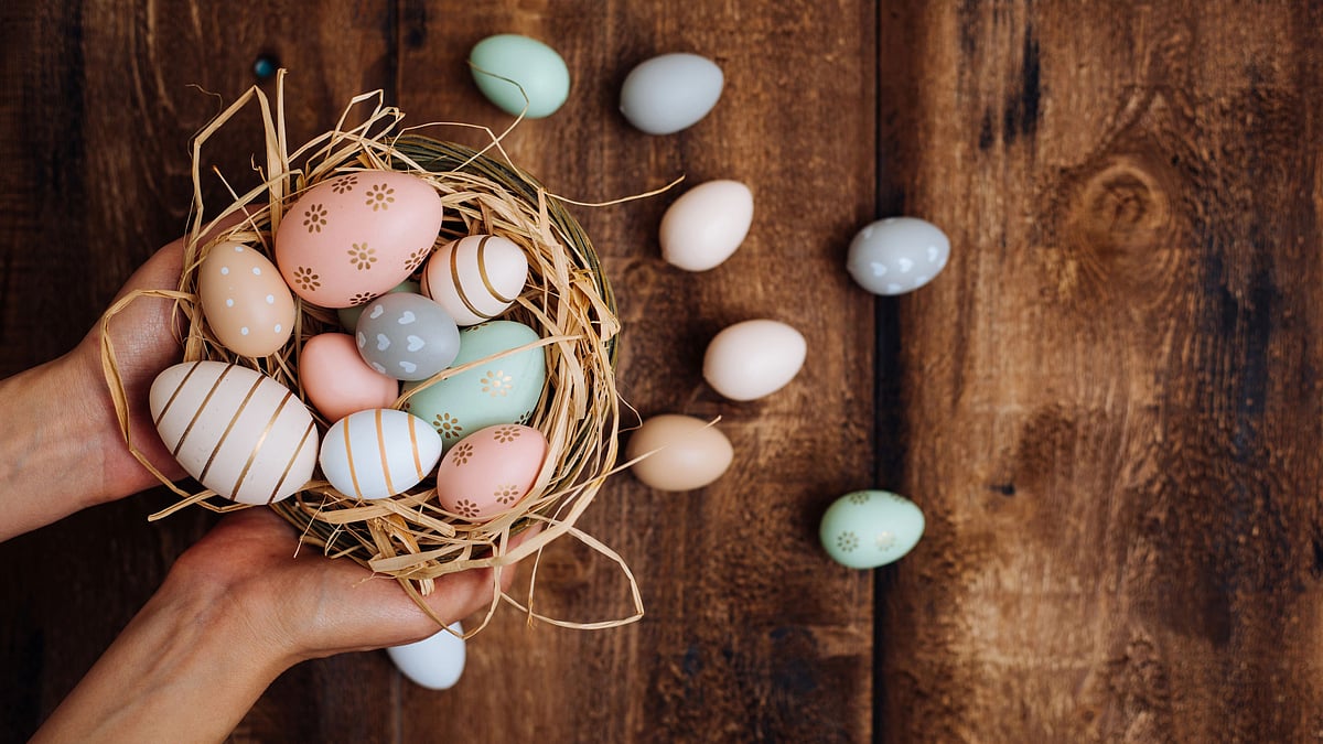 <div class="paragraphs"><p>International Women's Day 2022: Freezing eggs </p></div>