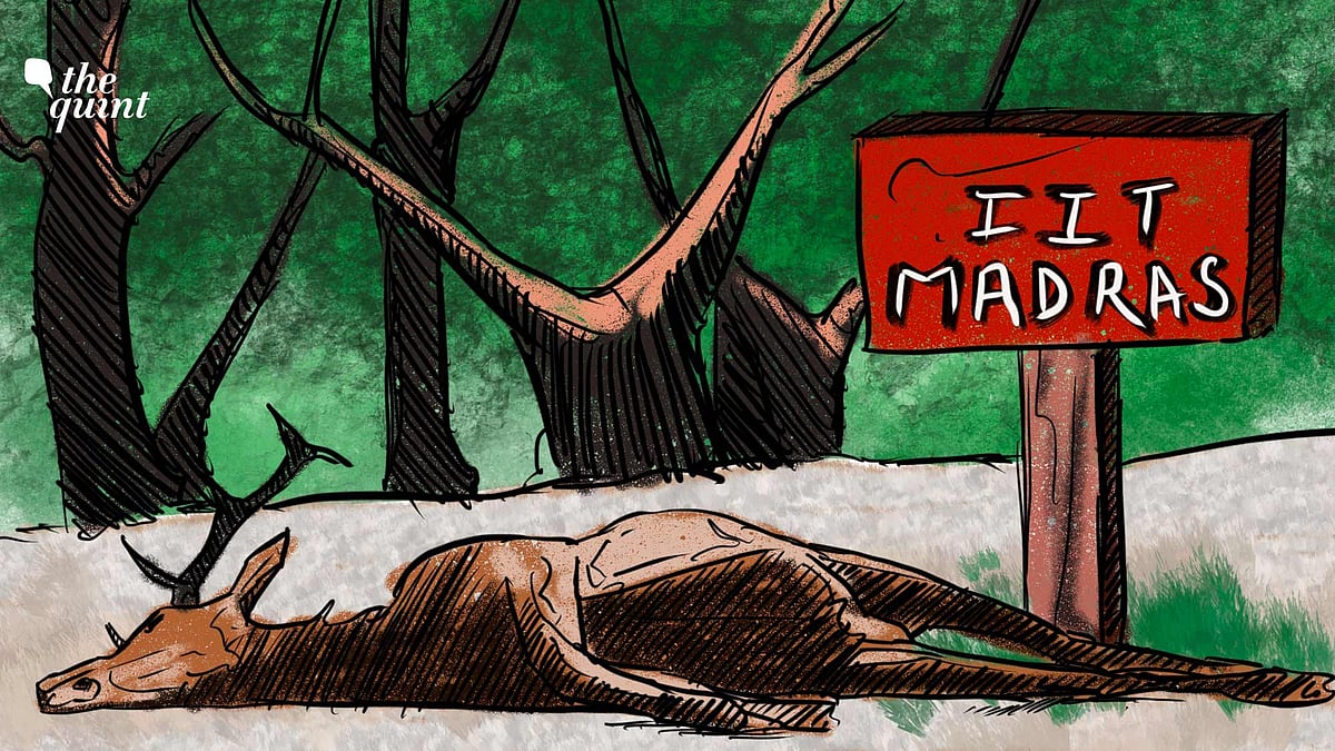 <div class="paragraphs"><p>In a suspected case of anthrax outbreak, four deer died last week in IIT Madras.</p></div>