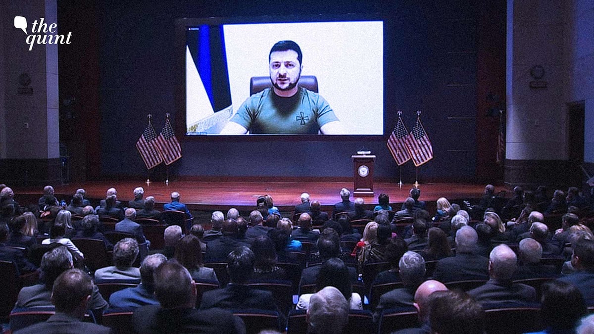 <div class="paragraphs"><p>Ukrainian President Volodymyr Zelenskyy. </p></div>