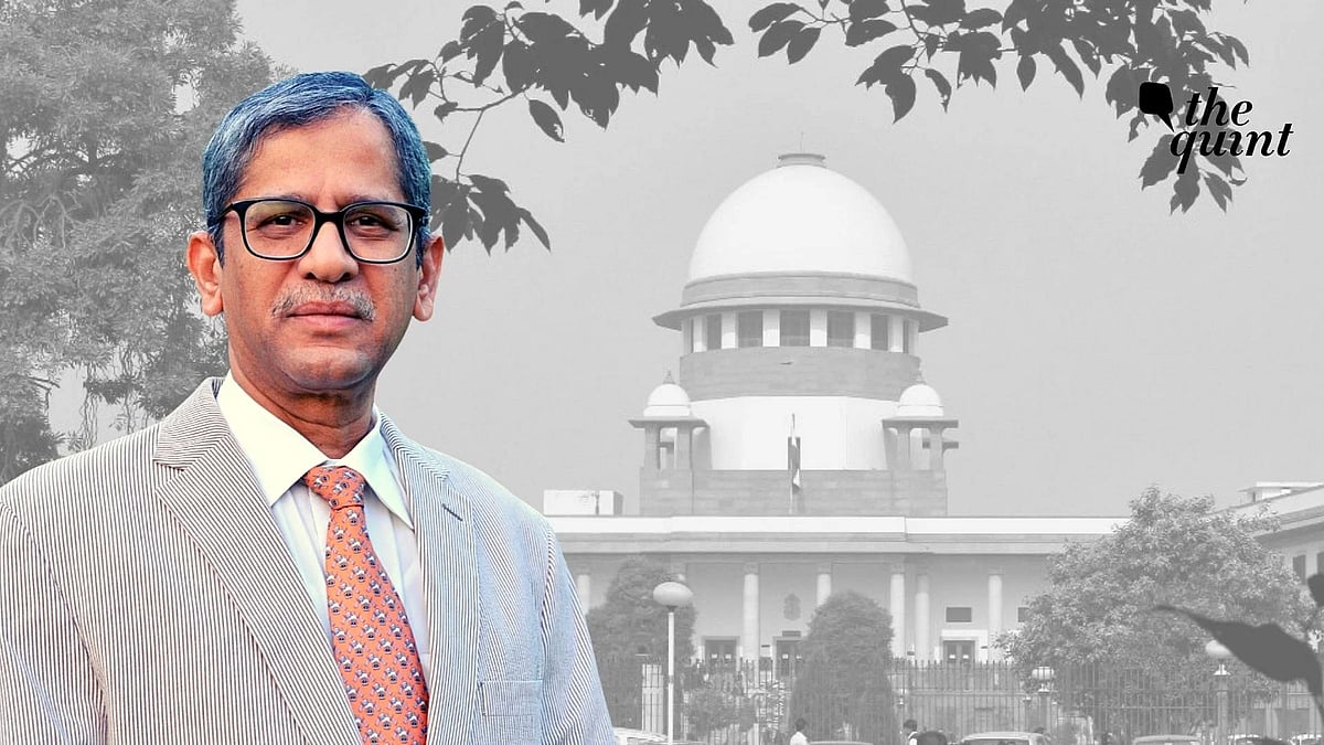 <div class="paragraphs"><p>The bench said based on surmises and the allegations levelled, it can't allow this kind of victimisation. </p></div>