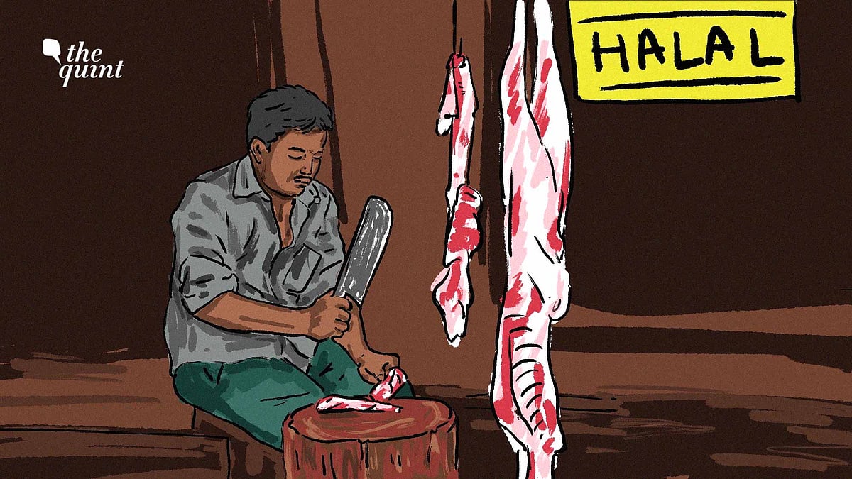 <div class="paragraphs"><p>Animals can be slaughtered as per the Islamic tradition of halal, even after stunning, says butchers body.</p></div>
