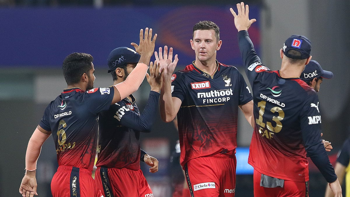 <div class="paragraphs"><p>Josh Hazlewood celebrates a wicket.</p></div>