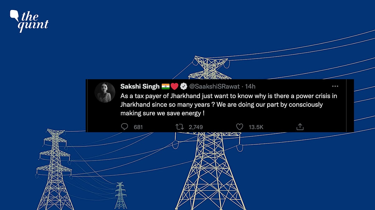 <div class="paragraphs"><p>MS Dhoni's wife Sakshi has tweeted on Jharkhand's power issues</p></div>