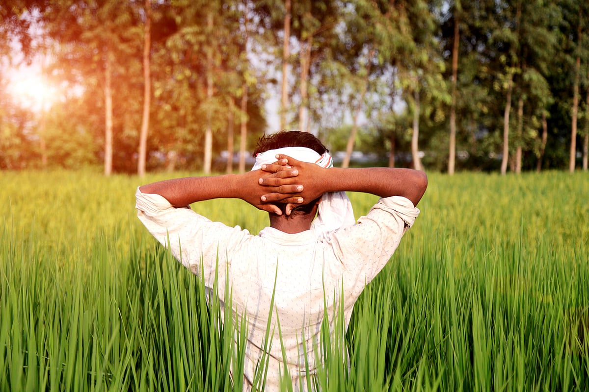 <div class="paragraphs"><p>PM Kisan 11th installment and eKYC details.</p></div>