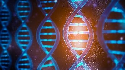 <div class="paragraphs"><p>DNA (deoxyribonucleic acid) is a kind of macromolecule called a nucleic acid.</p></div>