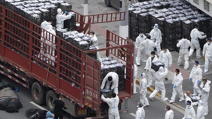 <div class="paragraphs"><p>Shanghai saw its load of new local asymptomatic infections rise from 15,698 to 20,634 in a matter of 24 hours.</p></div>