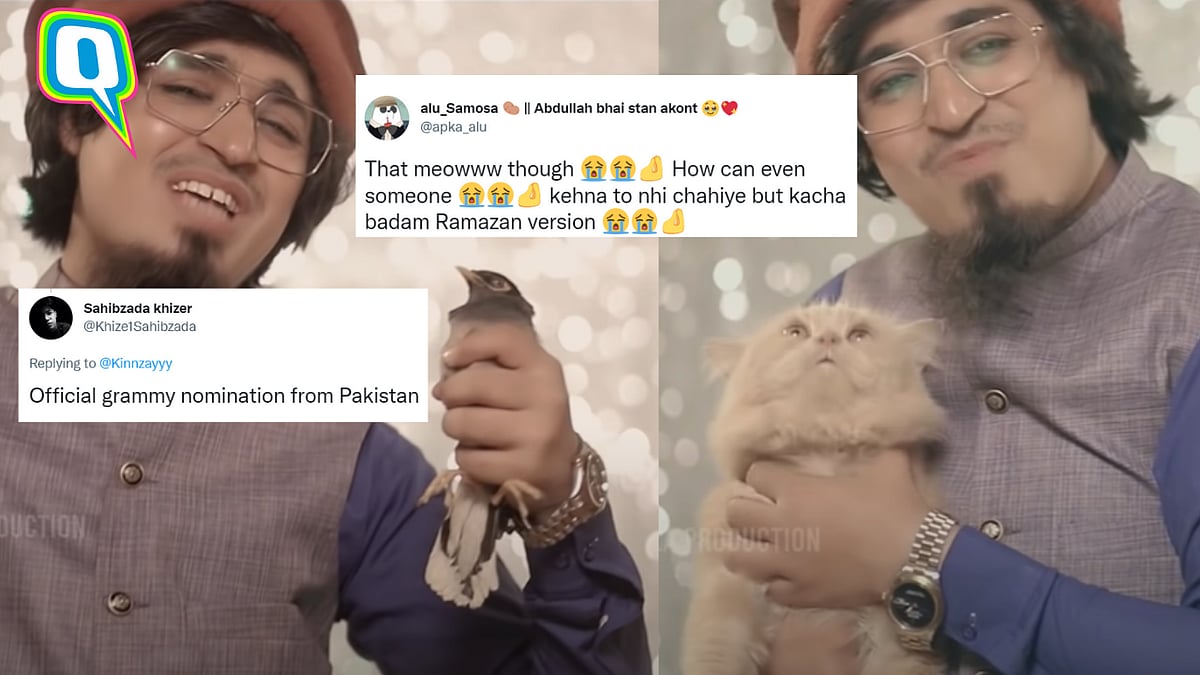 <div class="paragraphs"><p>The Pakistani rendition of Kacha Badam called Roza Rakhunga has gone viral! </p></div>