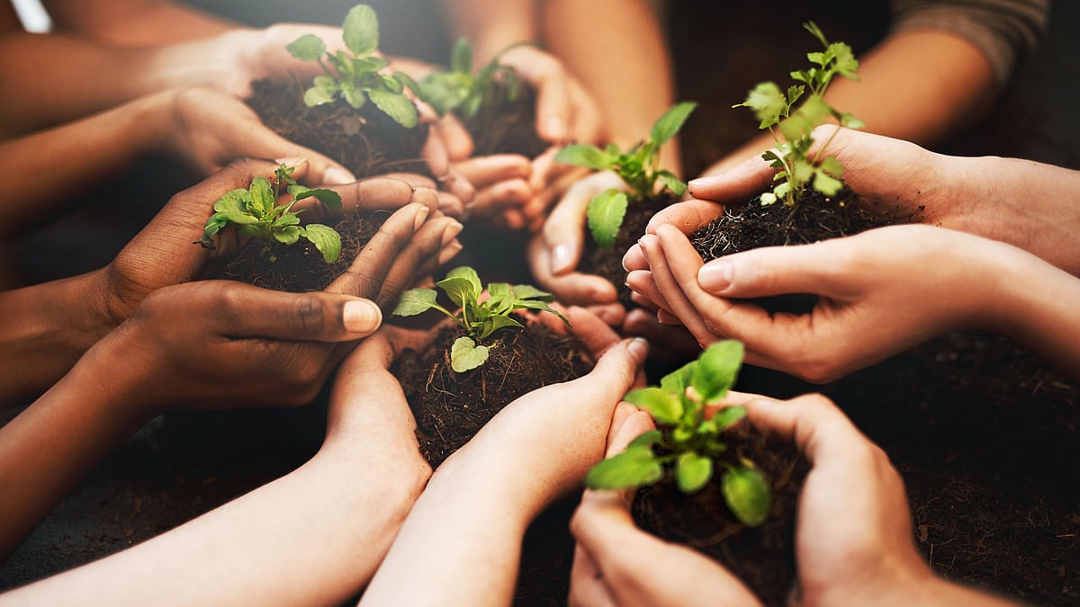 <div class="paragraphs"><p>On World Earth Day 2022, Google Doodle is focusing on the effects of climate change.</p></div>