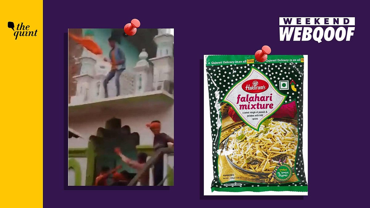 <div class="paragraphs"><p>From misinformation surrounding popular Indian snacks brand Haldiram's to karauli violence.</p></div>