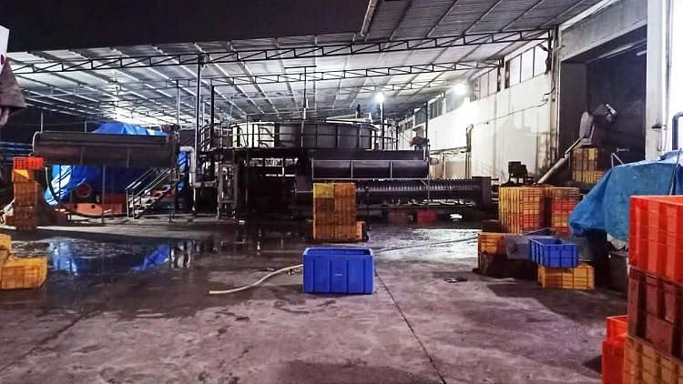 <div class="paragraphs"><p>Ulka LLP fish processing factory.</p></div>