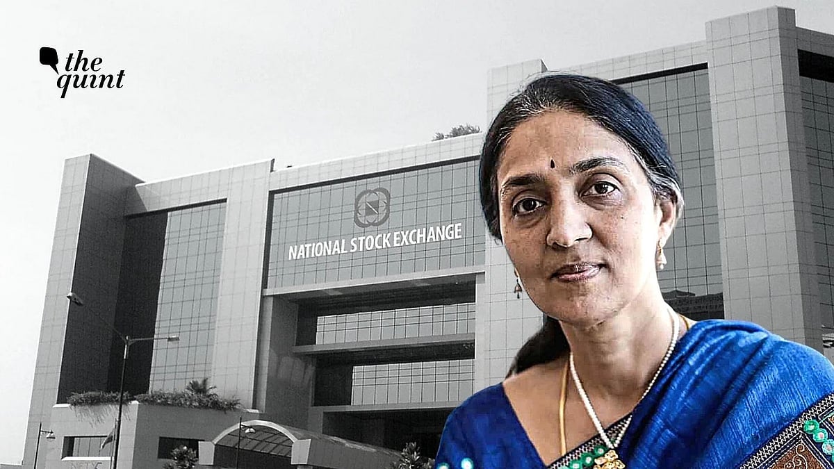 <div class="paragraphs"><p>Chitra Ramkrishna </p></div>
