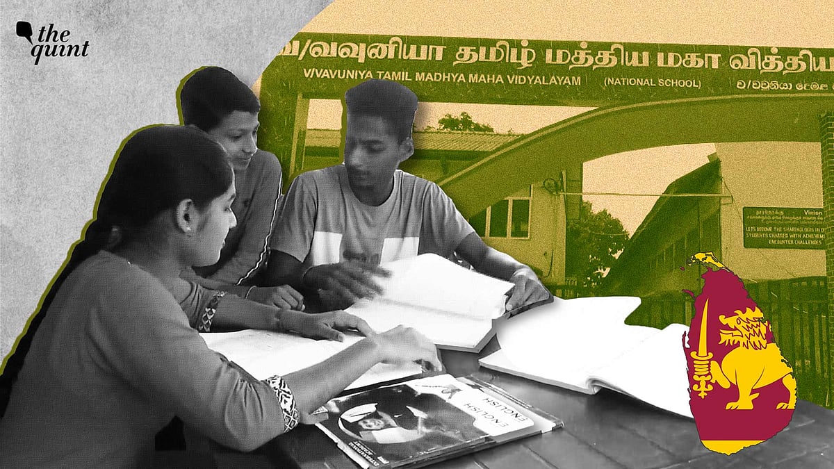 <div class="paragraphs"><p>The education department has called for a postponement of term tests and assignments indefinitely as there is severe shortage of paper and ink.</p></div>