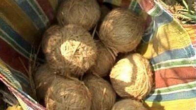 <div class="paragraphs"><p>Several crude bombs were recovered on Sunday, 3 April, near the residence of Palash Sheikh, the prime accused of the 21 March carnage in Bogtui village of West Bengal's Birbhum district.</p></div>