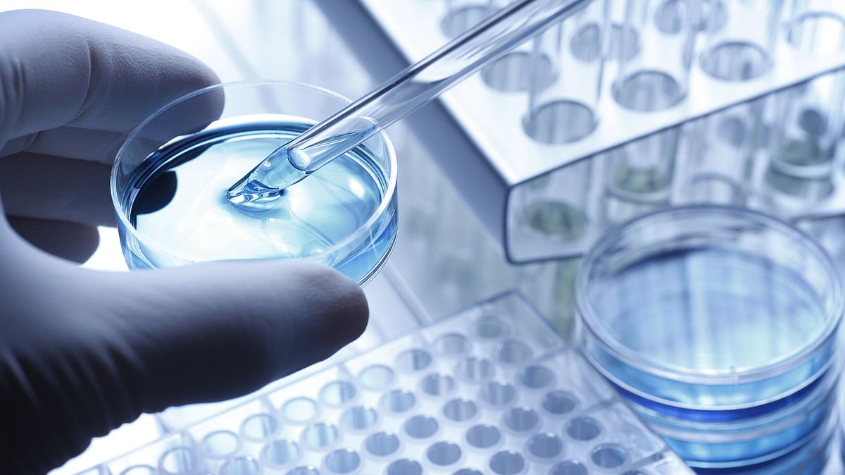<div class="paragraphs"><p>Host-directed therapy has several advantages over antibiotics or antivirals.</p></div>