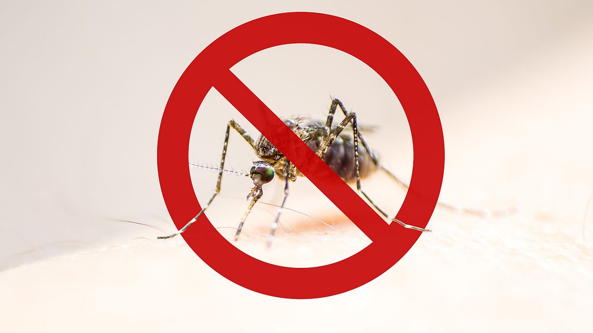 <div class="paragraphs"><p>World Malaria Day 2022 is observed on Monday, 25 April 2022.</p></div>