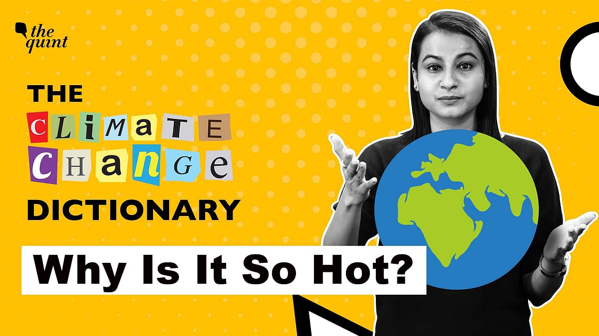 <div class="paragraphs"><p>'Heatwave' is the new buzzword in the dictionary of climate change.</p></div>