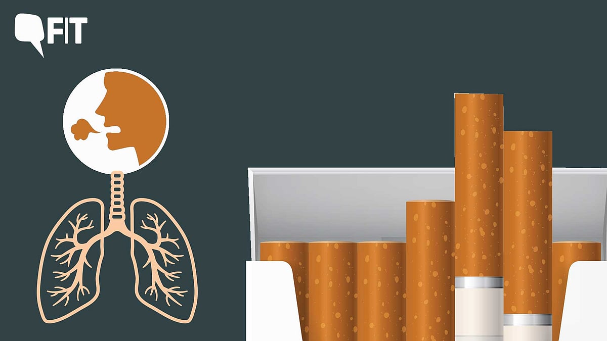 <div class="paragraphs"><p>On World No Tobacco Day, here's a look at how smoking affects your body as the days pass. </p></div>