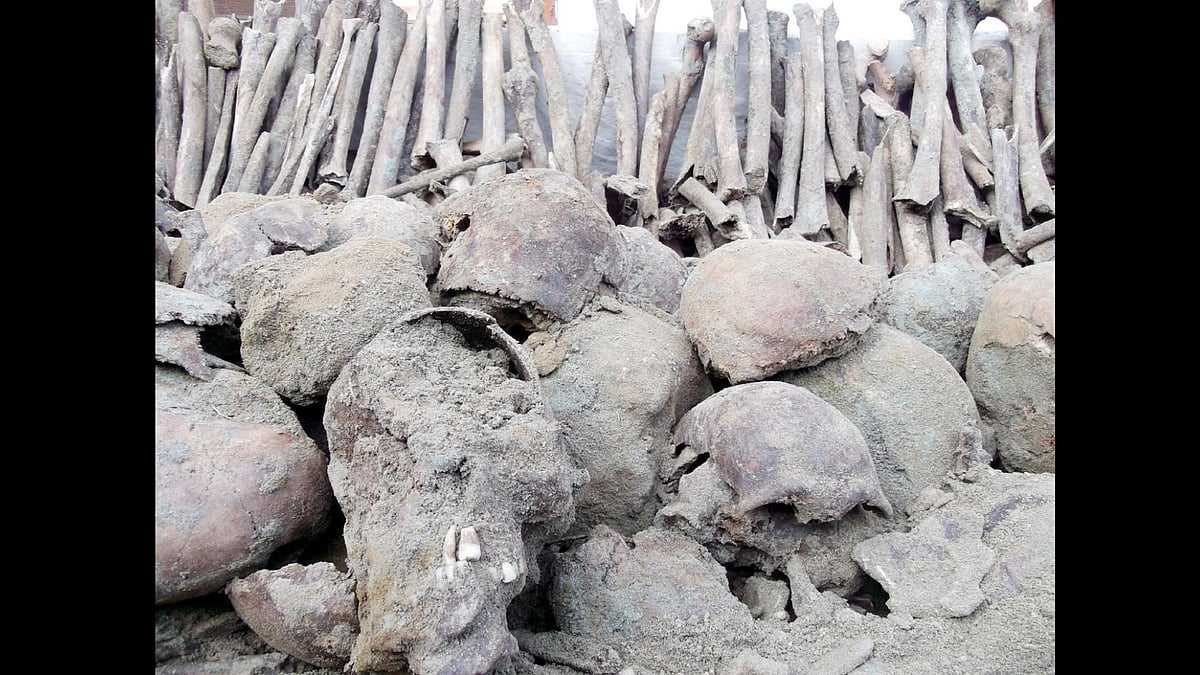 <div class="paragraphs"><p>As per the study, the remains belonged to healthy males between the ages of 21 and 49 years, with their geographical origins traced to the Gangetic plains.</p></div>
