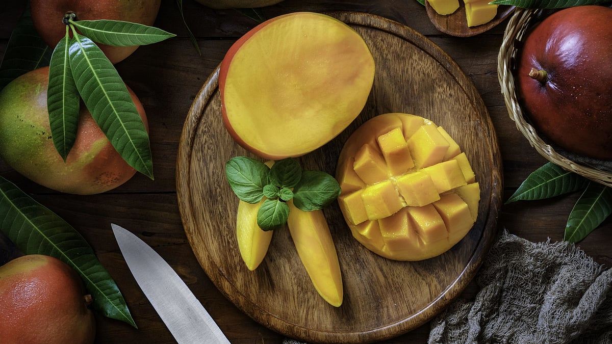 <div class="paragraphs"><p>Mangoes, known as king of fruits has varous health benefits</p></div>