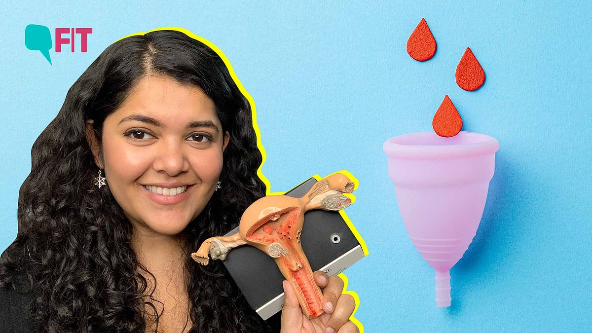 <div class="paragraphs"><p>Menstrual Hygiene Day | Women's health Day 2022: Sustainable period products like menstrual cups.</p></div>