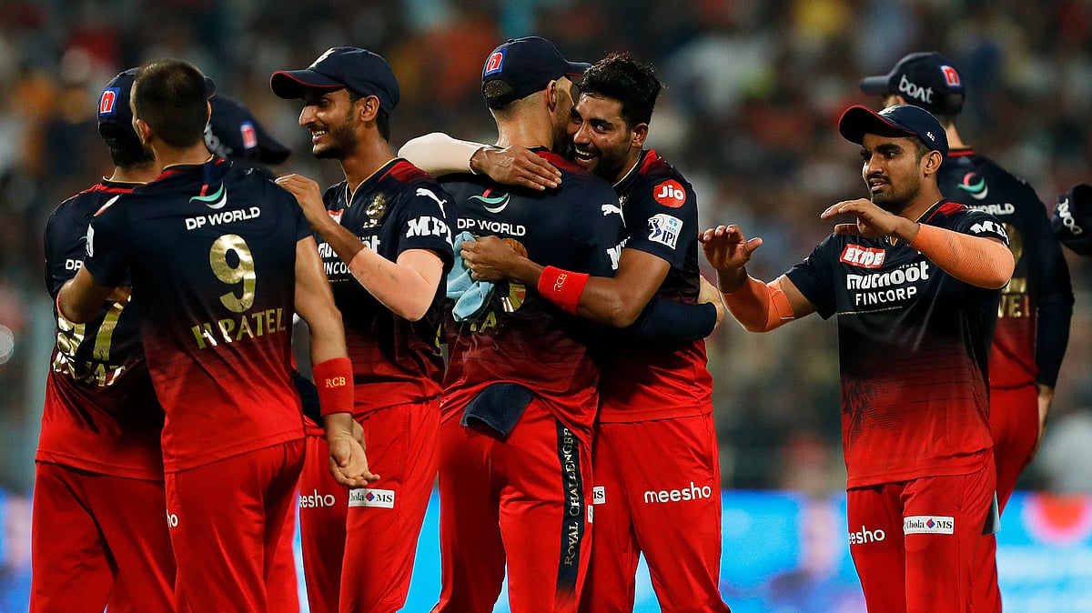 <div class="paragraphs"><p>RCB celebrate a big win</p></div>