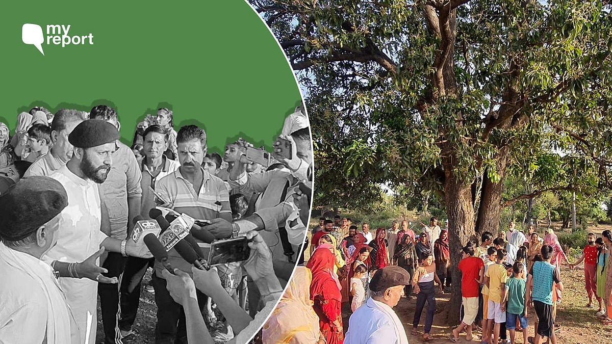 <div class="paragraphs"><p>Locals from Barwal village protesting felling down of trees.</p></div>