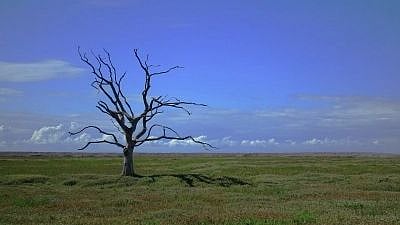 Climate Change.