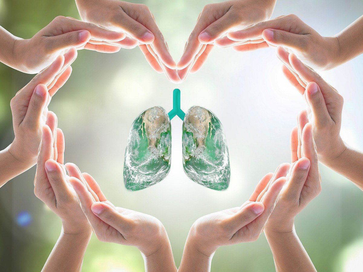 <div class="paragraphs"><p>Foods that help relieve the symptoms of asthma </p></div>