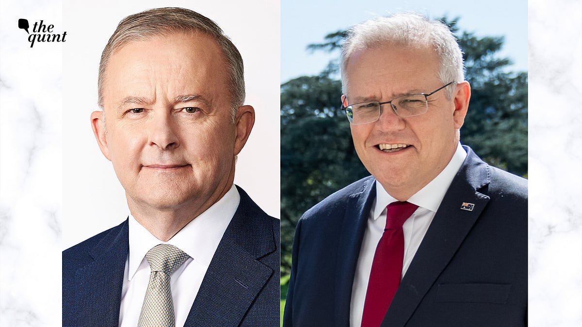 <div class="paragraphs"><p>Australia voted out PM Scott Morrison's government on Saturday, 21 May. Labor leader Anthony Albanese will be the next PM.</p></div>