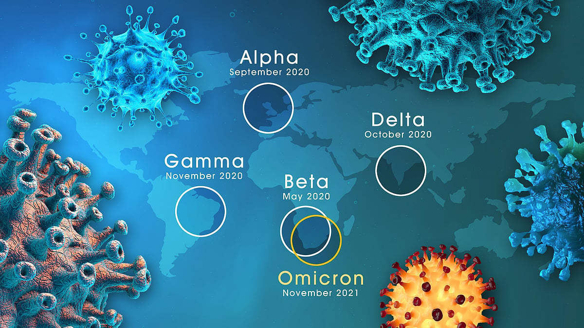 <div class="paragraphs"><p>The study, if peer-reviewed will prove that Omicron is as severe, if not more severe than previous variants of the SARS-CoV-2 virus.</p></div>