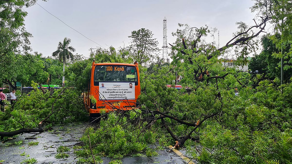 <div class="paragraphs"><p>A damaged bus was stuck in the middle of the road after a tree fell on it in New Delhi.</p></div>