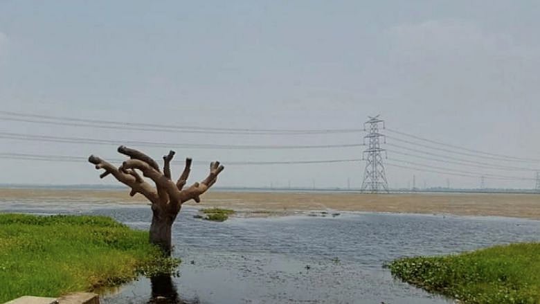 <div class="paragraphs"><p>The Suraha Tal Lake is the largest floodplain lake in the Ballia district. Jananayak Chandrashekhar University is situated within the Jai Prakash Narayan (Suraha Tal) Bird Sanctuary. </p></div><div class="paragraphs"><p><br></p></div>
