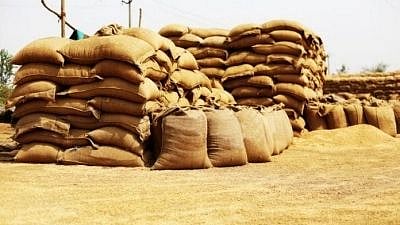 <div class="paragraphs"><p>India said the country's decision to restrict wheat exports would ensure that it could help those most in need.</p></div>