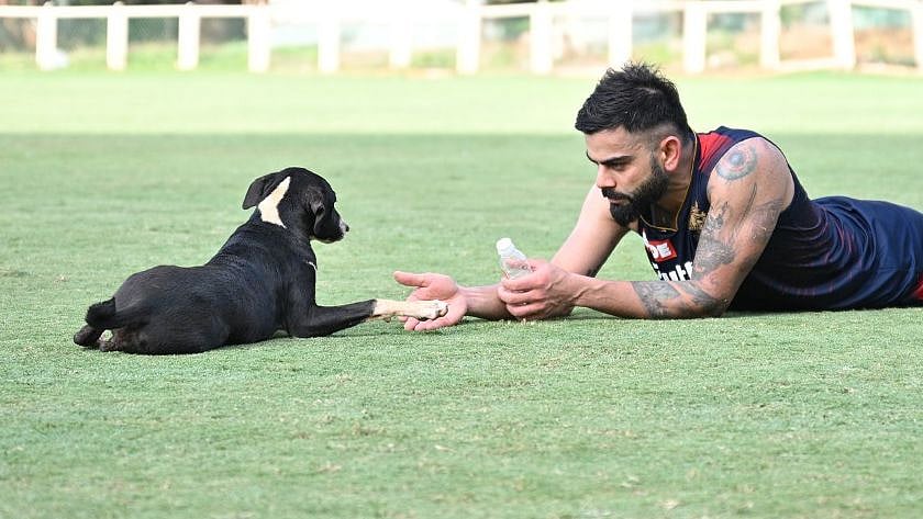 <div class="paragraphs"><p>Virat Kohli takes a break</p></div>