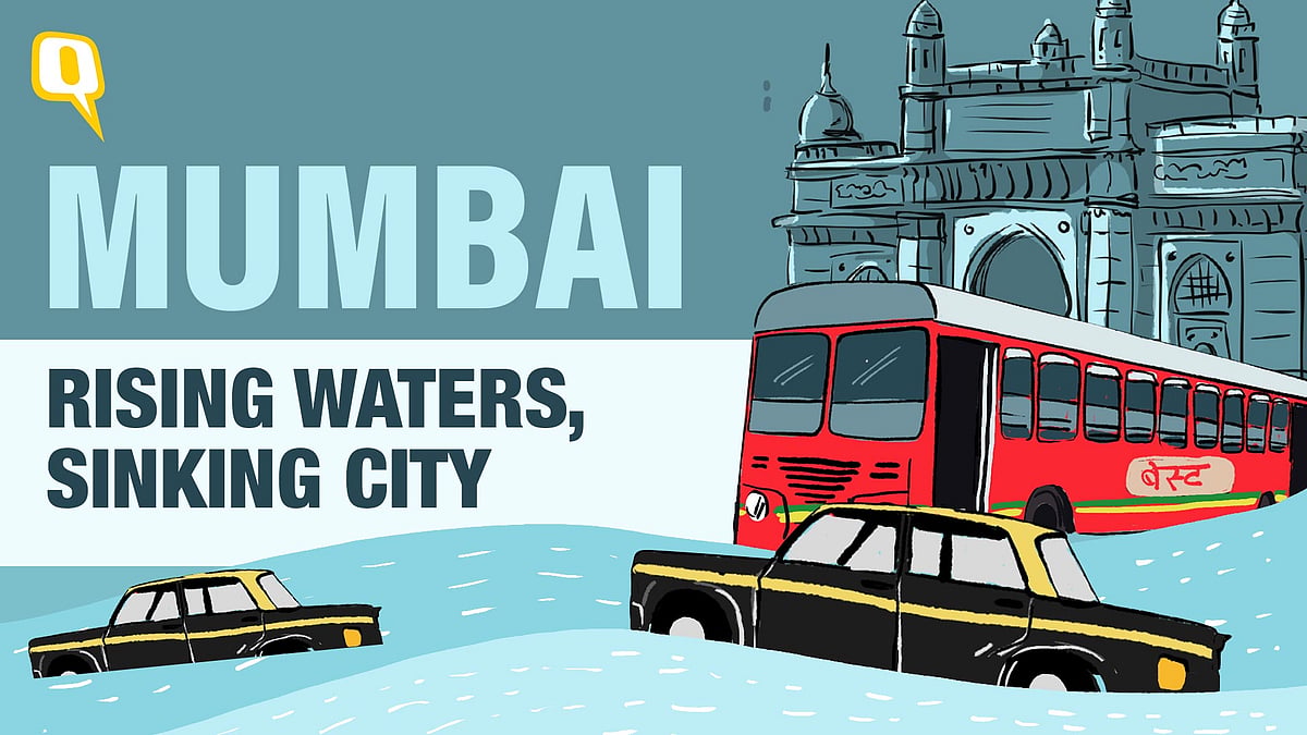 <div class="paragraphs"><p>Coming Soon | The Quint's documentary on why Mumbai is India's sinking city.</p></div>