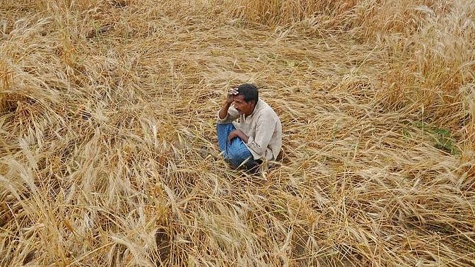 <div class="paragraphs"><p>India recorded a huge crop loss in March due to the heatwave.</p></div>