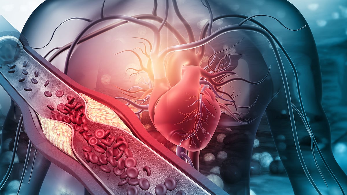 <div class="paragraphs"><p>The study analyzed data and took tests from 159 people to arrive at its conclusions.</p></div>