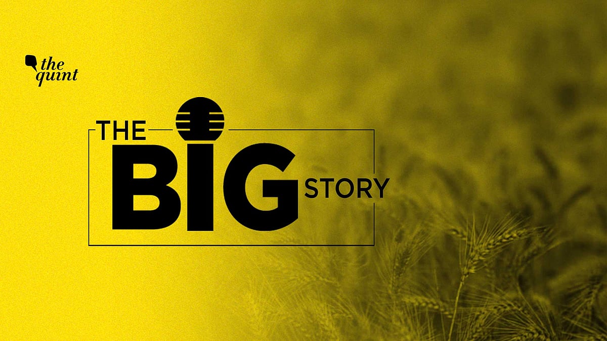 <div class="paragraphs"><p>Podcast on India's wheat export ban.&nbsp;</p></div>