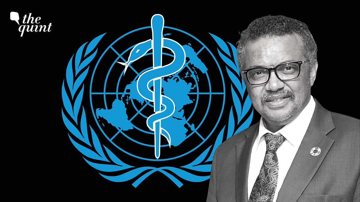 <div class="paragraphs"><p>WHO chief Tedros Adhanom Ghebreyesus.</p></div>