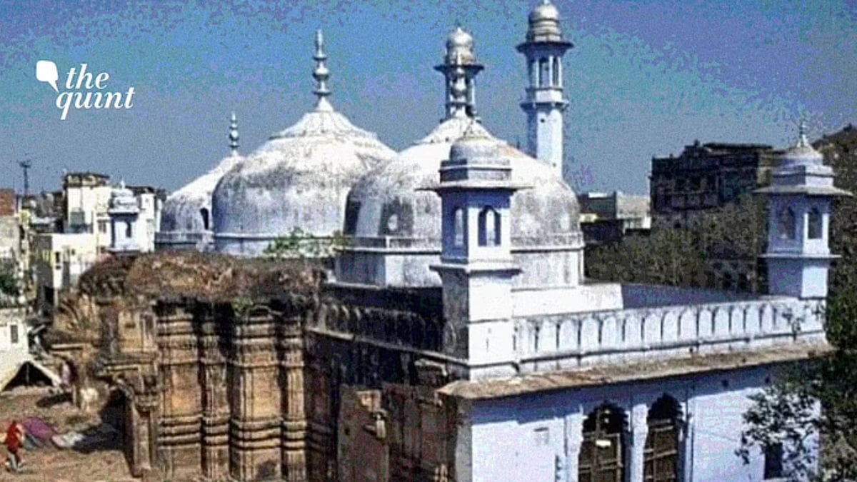 <div class="paragraphs"><p>The petitioners for the temple say that the foundation of the Gyanvapi movement was laid after the demolition of Babri Masjid.&nbsp;</p></div>