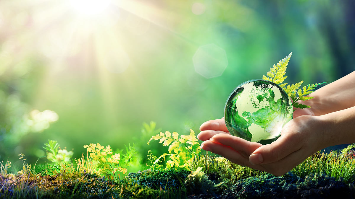 <div class="paragraphs"><p>Stressing on <a href="https://www.thequint.com/news/environment">environmental</a> protection and wildlife conservation, <a href="https://www.thequint.com/topic/meghalaya">Meghalaya </a>High Court <a href="https://www.thequint.com/topic/meghalaya-high-court-ruling">Chief Justice Sanjib Banerjee</a> on Saturday expressed regret that despite existence of a number of laws for environmental protection, they lack implementation. Image used for representation purpose.</p></div>