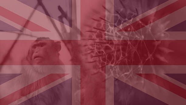 <div class="paragraphs"><p>The United Kingdom has been the most affected by the monkeypox outbreak since May 2022. </p></div>