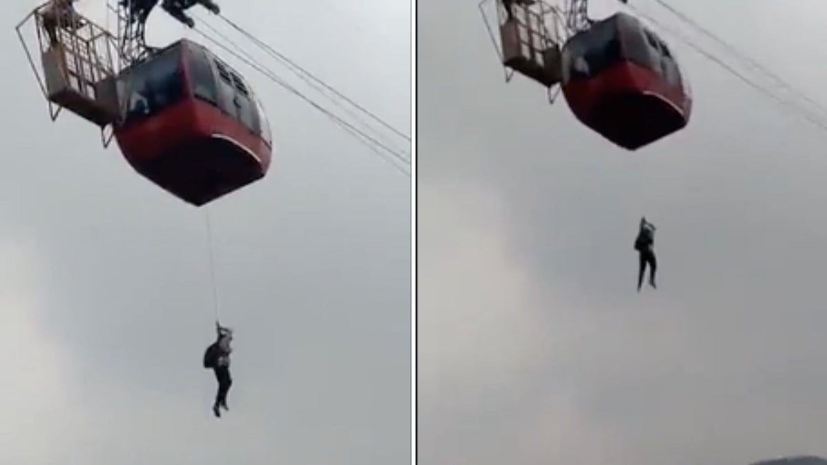 <div class="paragraphs"><p>A cable car trolly carrying tourists got stuck mid-air at Parwanoo Timber Trail in Himachal Pradesh.</p></div>