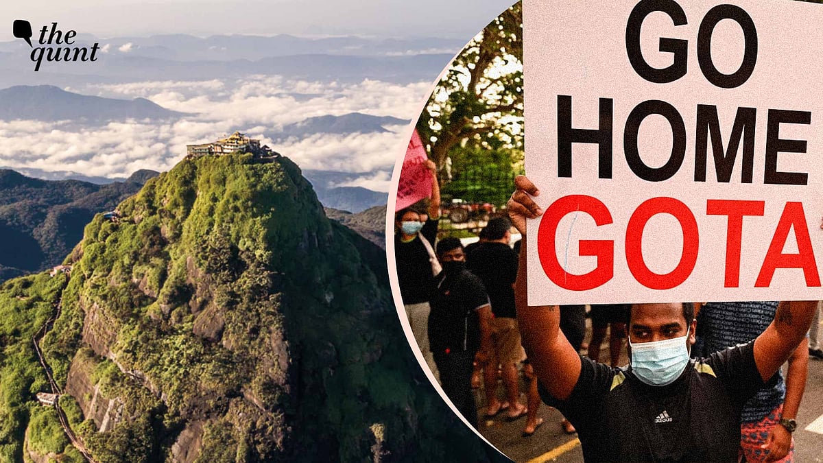 <div class="paragraphs"><p>Image used for representation only. The background shows the Sri Pada mountain in Sri Lanka.</p></div>