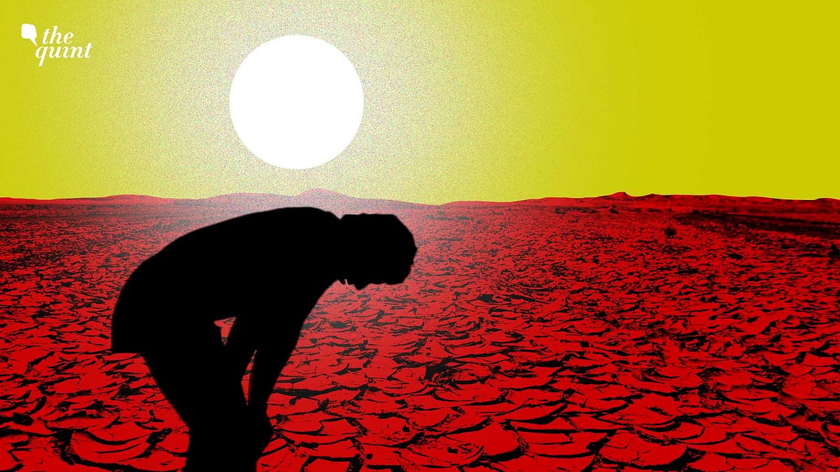 <div class="paragraphs"><p>Many weather stations in India recorded the highest temperatures ever in 2022.</p></div>