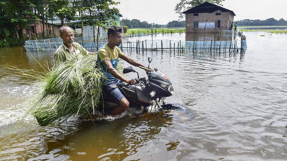 <div class="paragraphs"><p>A motorcyclist wades through a flooded road, in Kamrup district of Assam, on Wednesday, 22 June.</p></div>