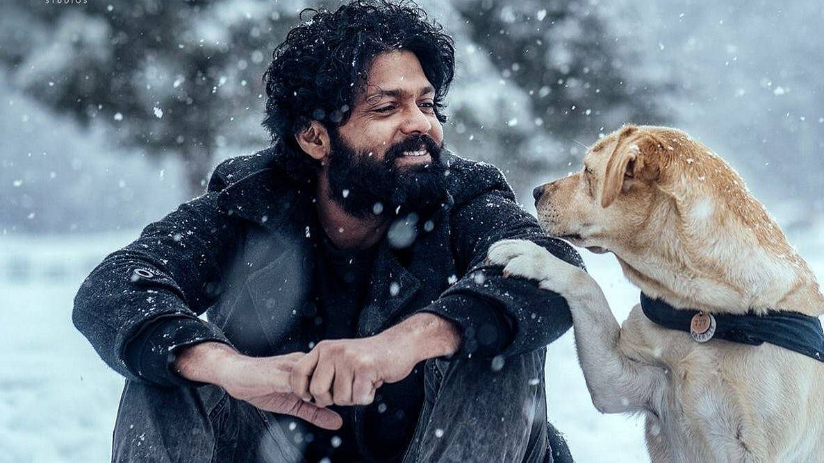 <div class="paragraphs"><p>Rakshit Shetty's <em>777 Charlie</em> traces the bond between a man and his dog.</p></div>
