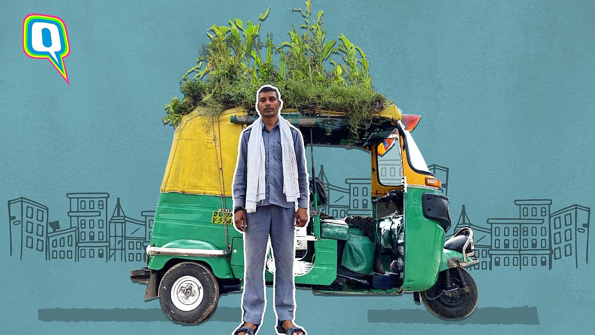 <div class="paragraphs"><p>Auto with a 'rooftop garden'</p></div>