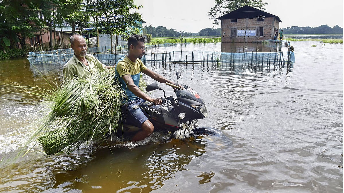 <div class="paragraphs"><p>A motorcyclist wades through a flooded road, in Kamrup district of Assam, Wednesday, June 22, 2022</p></div>